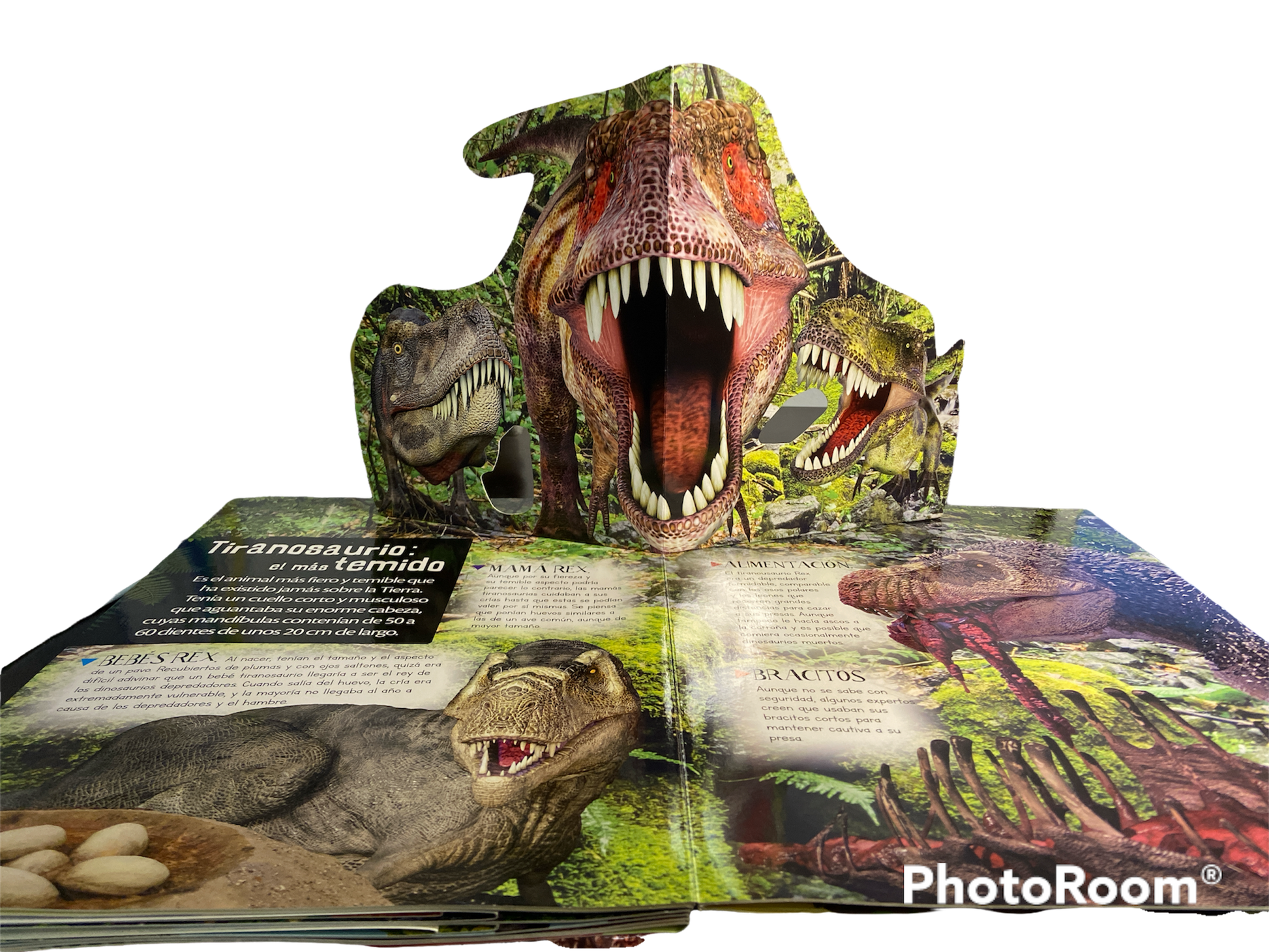Dinosaurios Libro De Pegatinas – Poly Juguetes